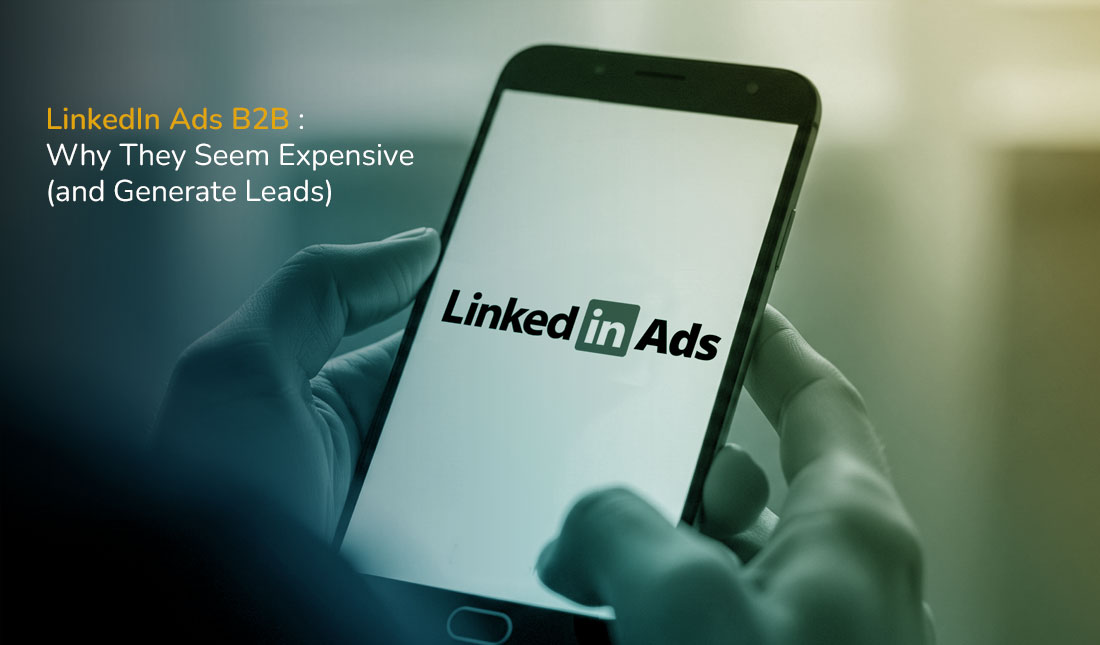 LinkedIn B2B Ads